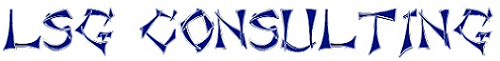 LSG Consulting